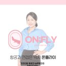 온플라이에듀 이미지