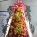 꼬시랑 이미지