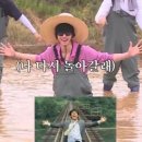 개굴개굴 이미지