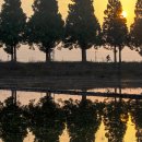 죽동마을 이미지