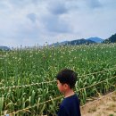 금강신관공원 공중화장실(3) | 금강신관공원 자전거 대여소 아이와 함께 처음 자전거 타던 날