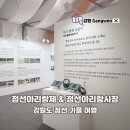 아리랑푸드 | 강원도 정선 가을 여행 2025 정선아리랑제 &amp; 정선아리랑시장 방문 후기