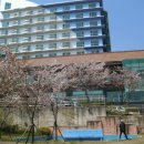 남일대리조트 산호장 네이버블로그