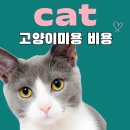 고양이무마취미용 고무미 | 고양이미용 비용 수도권 비교해 봤습니다.