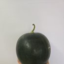 민생지원금 사용가능~! 과일 많아요~^^ 이미지