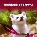 한국아로마테라피DIY강사협회