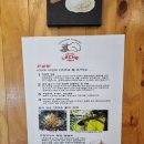 레체 | 일산 백석 빵집 추천 🍞 식빵 전문점 ‘레체식빵’ 방문 후기