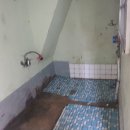 부산기물 이미지