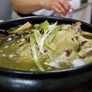 고창집 Daum카페