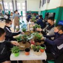 외포중학교 이미지