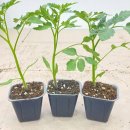 경희대 제우스 태권도장 이미지