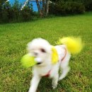 천안휴펜션 이미지