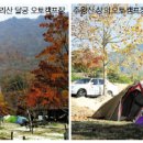 300동화장실 네이버블로그