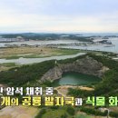 대부요트