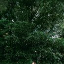 송당 온도 이미지