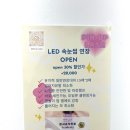 핀업래쉬 이미지