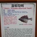 대어회집 이미지