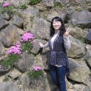 인동체육관 이미지