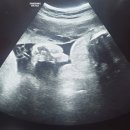 (주)더 늘봄 이미지