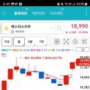 데코피아주 이미지