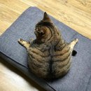동글동글 이미지