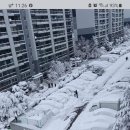 속닭속닭속초숯불닭갈비 이미지