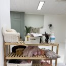 애니위드 | [260220,260301,260308] 100일 기념 촬영(세번만에 성공) 및 성장앨범 계약 후기_애니스튜디오 노원도봉점