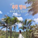 우붓 발리 스윙 직접 경험해보니 옷차림 걱정 없이 드레스 대여로 충분했던 곳