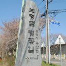 보령-주산-1 이미지