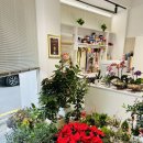 역삼1-103 | 역삼동 꽃집 김미경 플라워｜역삼역 꽃집 찾다가 다녀온 후기