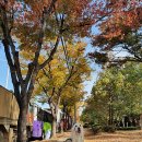 대호동물병원 이미지