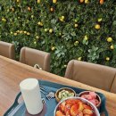 우아한과일 | 강남역 근처 역삼동 카페 생과일 빙수맛집 우아한과일 후기