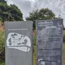 제주 신례리 왕벚나무 자생지 | 왕벚나무 자생지, 봉개동에서 만나는 제주 자연유산