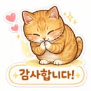 트리플게이지 | 파주 엔진형 고압세척기 출장 수리, GX690 + 아노비 SXWA 5.5G50 오일 교체 및 점검 후기