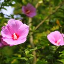 한남축산 이미지