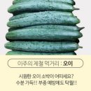 다싸다마트 조선일보
