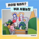 금동농장 | 부여 서울농장 1박2일 가족여행 체험여행 6만원으로 숙박 식사 체험 선물 열기구리뷰