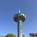 약산약초흑염소목장원 | [완도 여행 후기] 자연과 축제의 조화, 완도에서 힐링하다