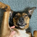 곱창이야기수송점 이미지