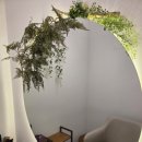 내눈에 김안과 의원 이미지