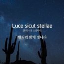 스텔라이 이미지