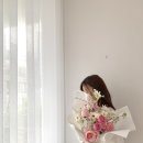 라베일르 네이버블로그