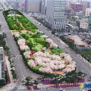 시청앞 미관광장 이미지