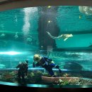 국립해양박물관 이미지