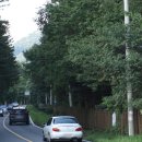 땅벌방앗간 | 초가을 광릉, 국립수목원, 광릉숲길