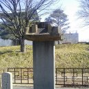 대구부수성비 Daum카페