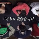 아리원 이미지