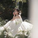 주아5-1낙차공 | W.05_가성비 플라워디렉팅 주아플레르 (이 가격에 이...가능하다고요..?)가격, 구성, 내돈내산 대만족 후기