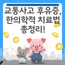 세종한의원 - 계양구 장제로 999 | [세종시한의원] 교통사고 후유증, 한의학적 치료법 총정리! 🚗💥