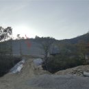 일신천 Daum카페